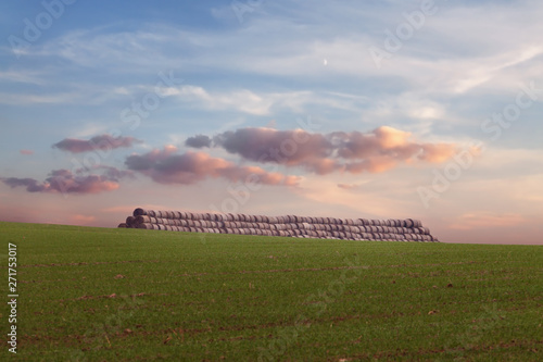 line row straw sheaves on the green agriculture field of the countryside autumn equinox mabon sunset background