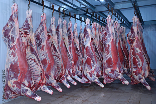 At the slaughterhouse. Carcasses, raw meat beef, hooked in the freezer. photo