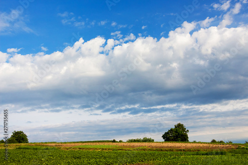 White clouds in the blue sky over the field in the summer_