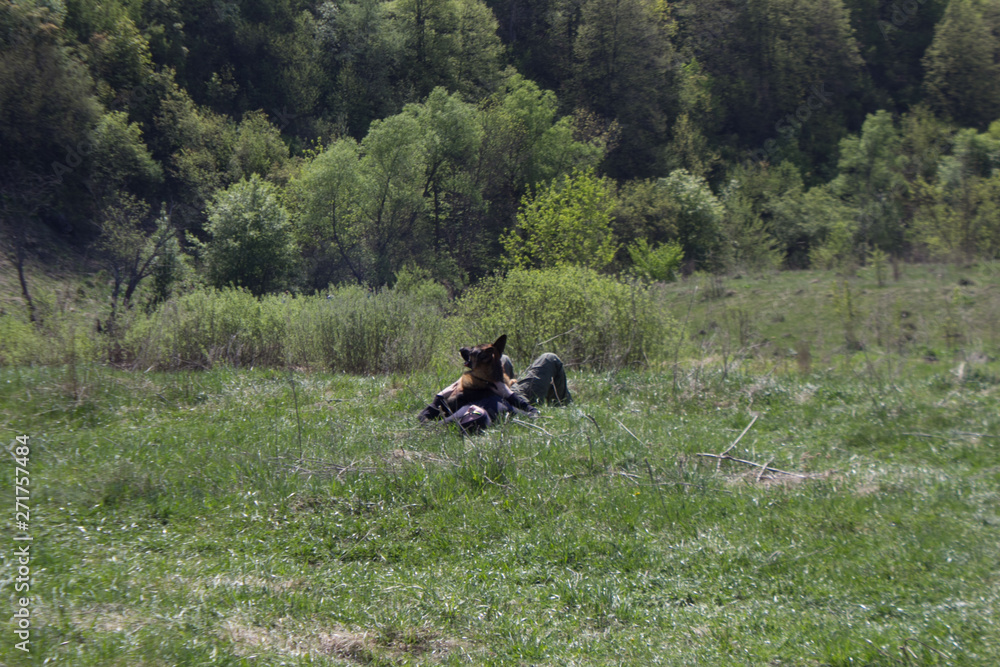 German Shepherd on holiday with his friends German Shepherd on holiday with his friends