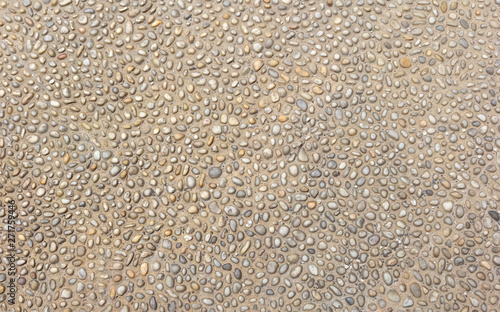 Small rounded stones in the ground.