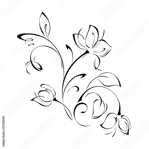 ornament of flower buds, leaves and curls in black lines on a white background
