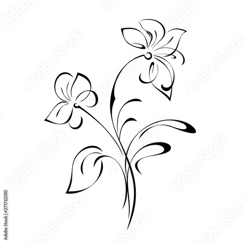 stylized twig with two flowers  a leaf and curls in black lines on a white background
