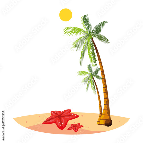 summer beach with palms and starfish scene