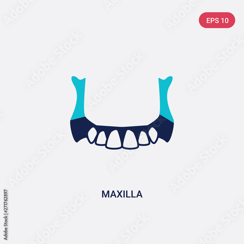 two color maxilla vector icon from dentist concept. isolated blue maxilla vector sign symbol can be use for web, mobile and logo. eps 10