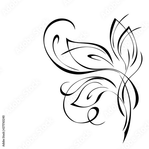 decorative twig with leaves and curls in black lines on a white background