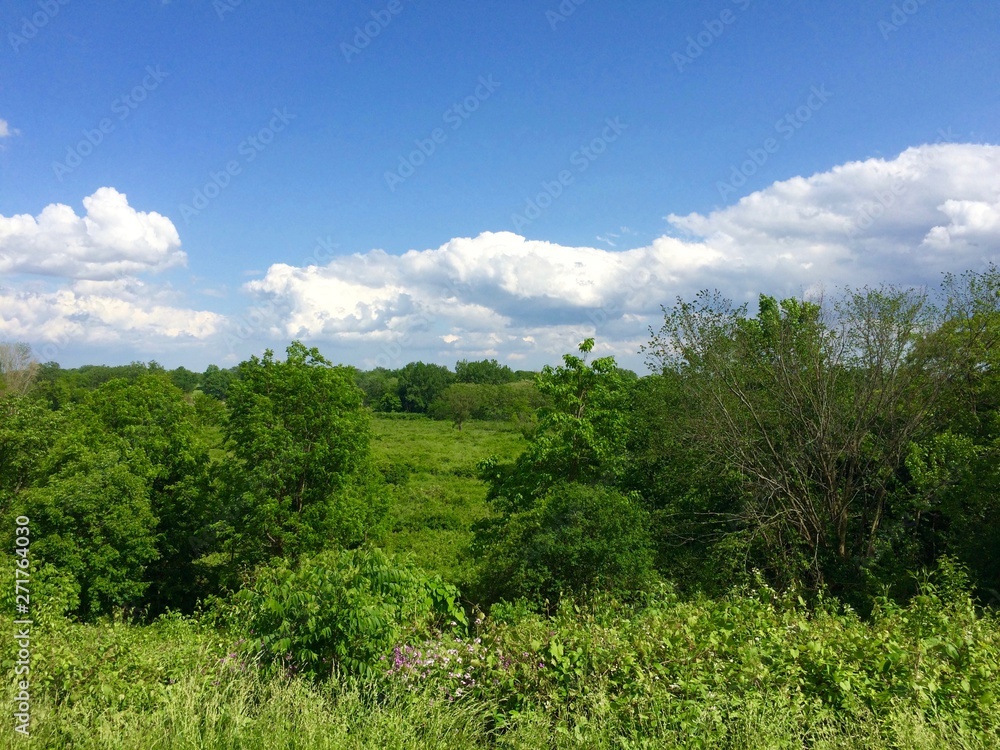 green summer landscape with clouds