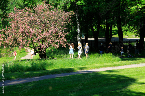 Canvas Print Palace park of Oslo