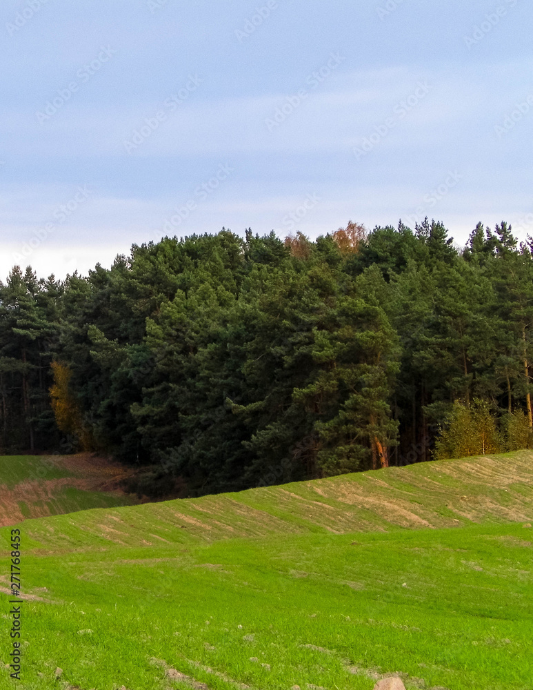 Obraz premium Green field and hills. Nature of northern Poland.