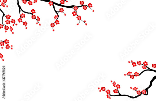Background the cherry branch on white horizontal