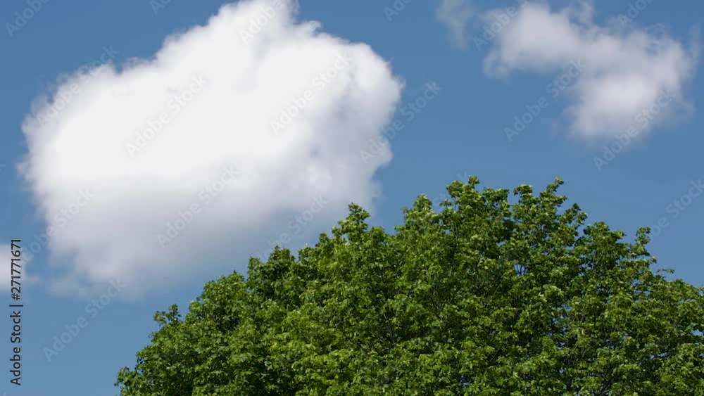 Amazing view on summer landscape of nature on blue sky background. Beautiful colorful nature backgrounds. Amazing view on summer landscape of nature on blue sky background. Beautiful colorful nature backgrounds.