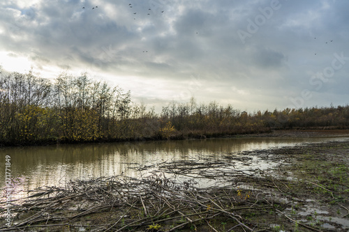 Wetlands in the netherlands at sunrise