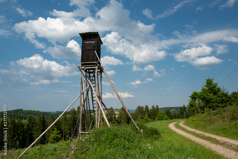 Naklejka premium Hochsitz im wunderschönen Sauerland