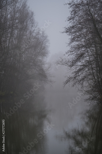 Misty river in the netherlands