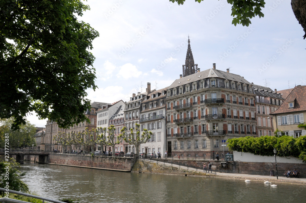 Naklejka premium Schwäne am Ill