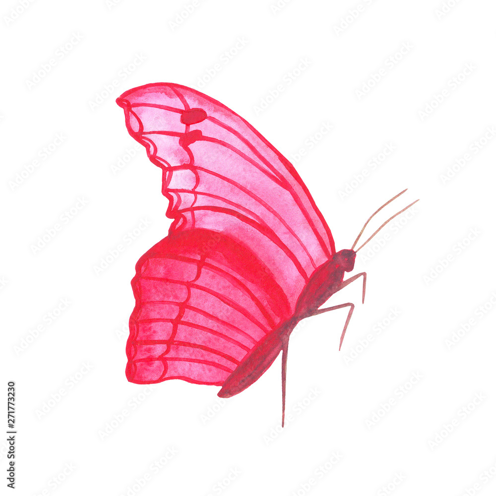 watercolor pink butterfly insect summer beautiful tropica watercolor pink butterfly insect summer beautiful tropica