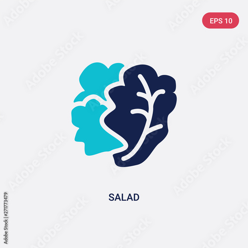 two color salad vector icon from fruits concept. isolated blue salad vector sign symbol can be use for web, mobile and logo. eps 10