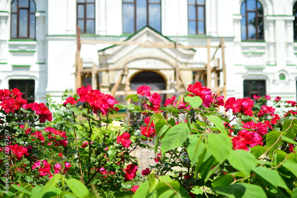 flowers in front of an old house
