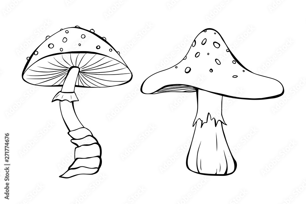 Mushroom Template Mushroom Template