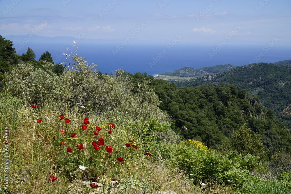 Hinterland Kokkari, Samos - Griechenland
