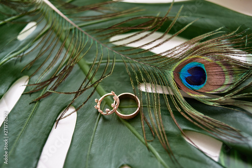 Close up of two golden wedding rings on monstera leaf and peacock feather background, copy space. Selective focuse. Wedding concept photo