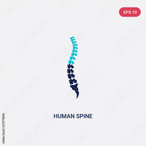 two color human spine vector icon from human body parts concept. isolated blue human spine vector sign symbol can be use for web, mobile and logo. eps 10