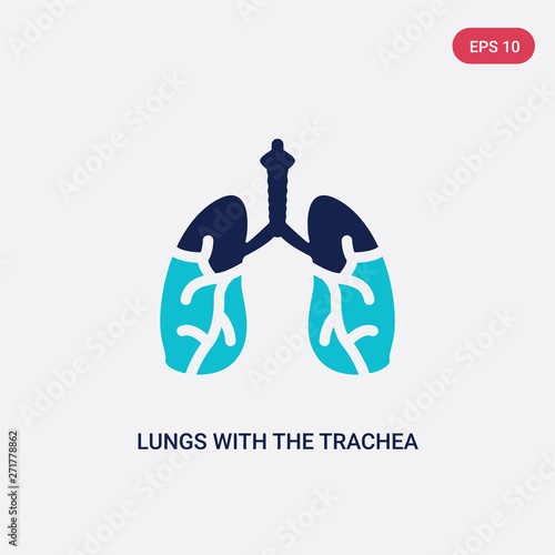 two color lungs with the trachea vector icon from human body parts concept. isolated blue lungs with the trachea vector sign symbol can be use for web, mobile and logo. eps 10