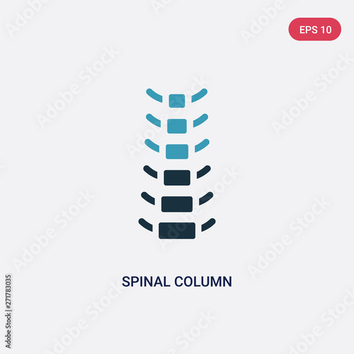 two color spinal column vector icon from medical concept. isolated blue spinal column vector sign symbol can be use for web, mobile and logo. eps 10