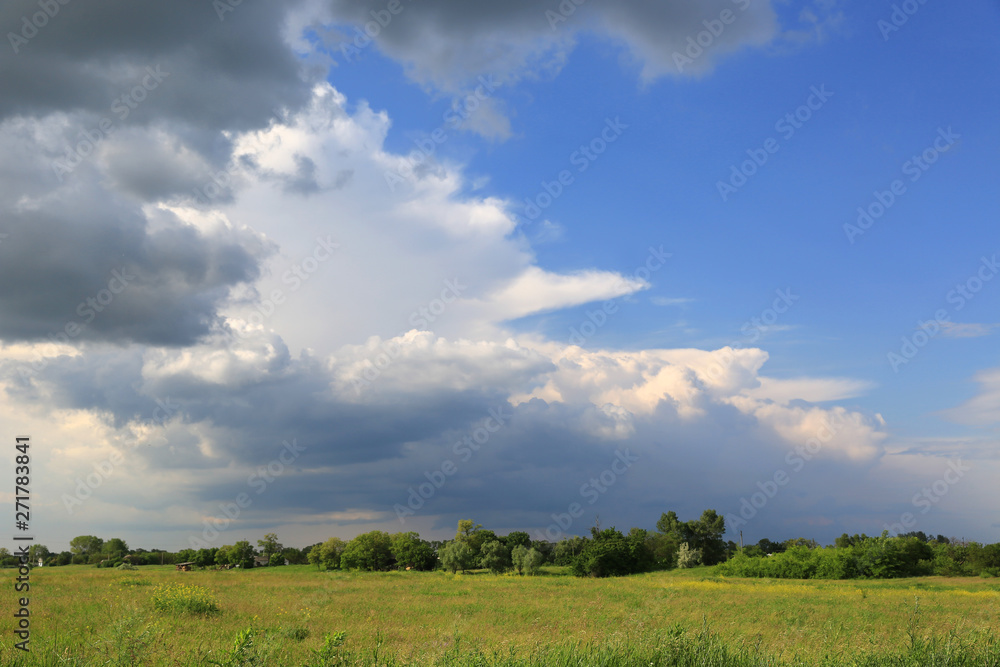summer steppe before thunderstorm