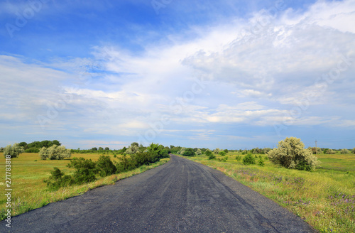 road in steppe