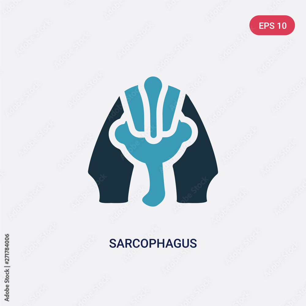 Fototapeta premium two color sarcophagus vector icon from museum concept. isolated blue sarcophagus vector sign symbol can be use for web, mobile and logo. eps 10