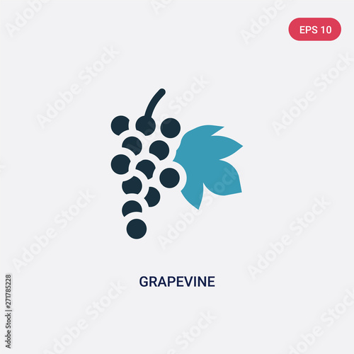 two color grapevine vector icon from nature concept. isolated blue grapevine vector sign symbol can be use for web, mobile and logo. eps 10