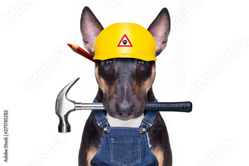 handyman  dog with tool in mouth © Javier brosch