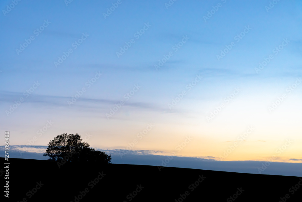 Farmland, Isolated Trees on hill with blue sky background in dusk. Silhouette view nature landscape.