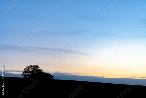 Farmland, Isolated Trees on hill with blue sky background in dusk. Silhouette view nature landscape.