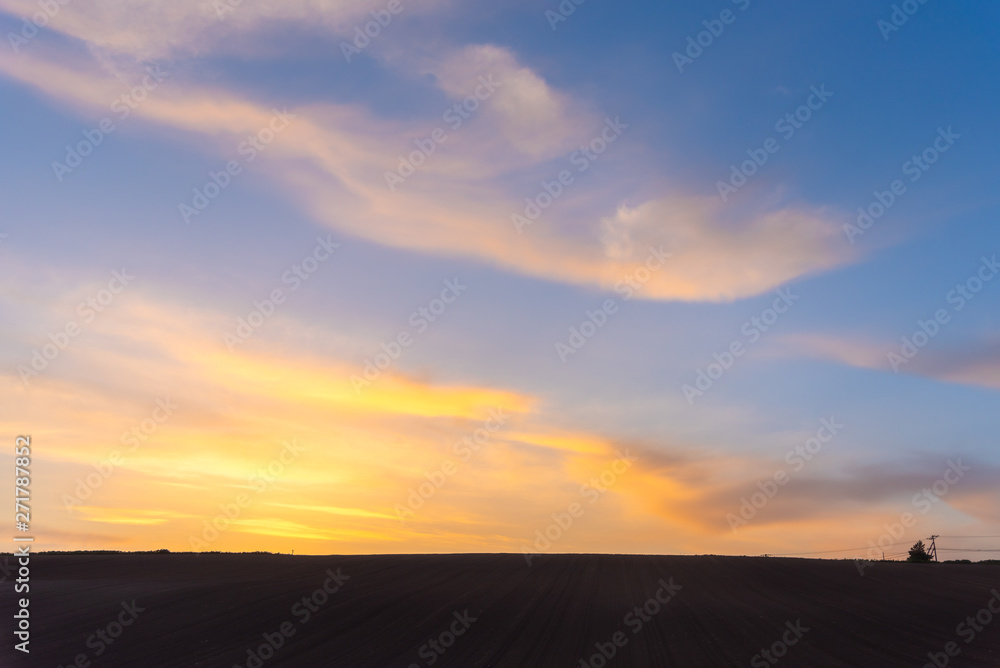 Farmland, Isolated Trees on hill with blue sky background in dusk. Silhouette view nature landscape. Farmland, Isolated Trees on hill with blue sky background in dusk. Silhouette view nature landscape.