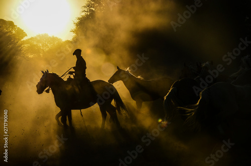 silueta de jinete y tropilla entre el polvo levantado por los caballos