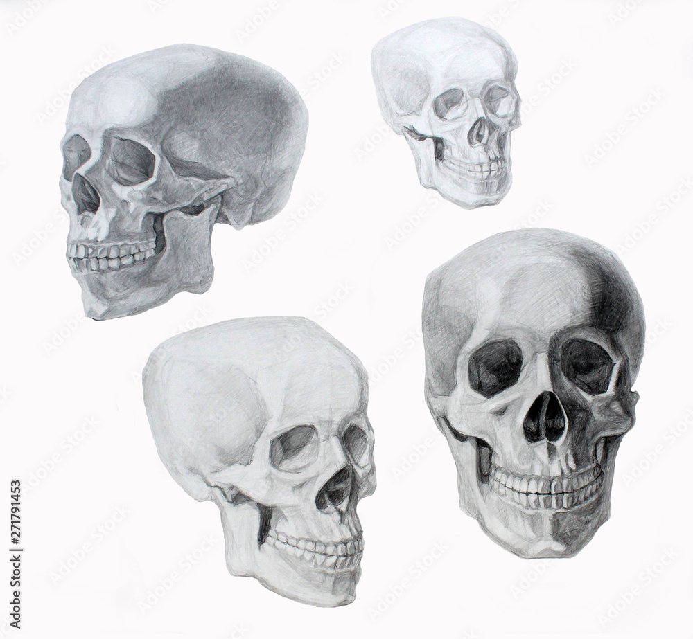 skull graphics illustration
