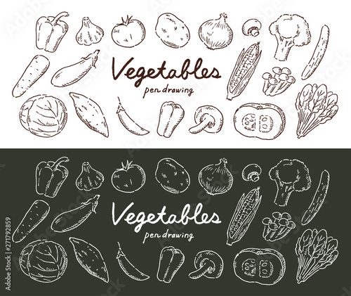 野菜セットペン画