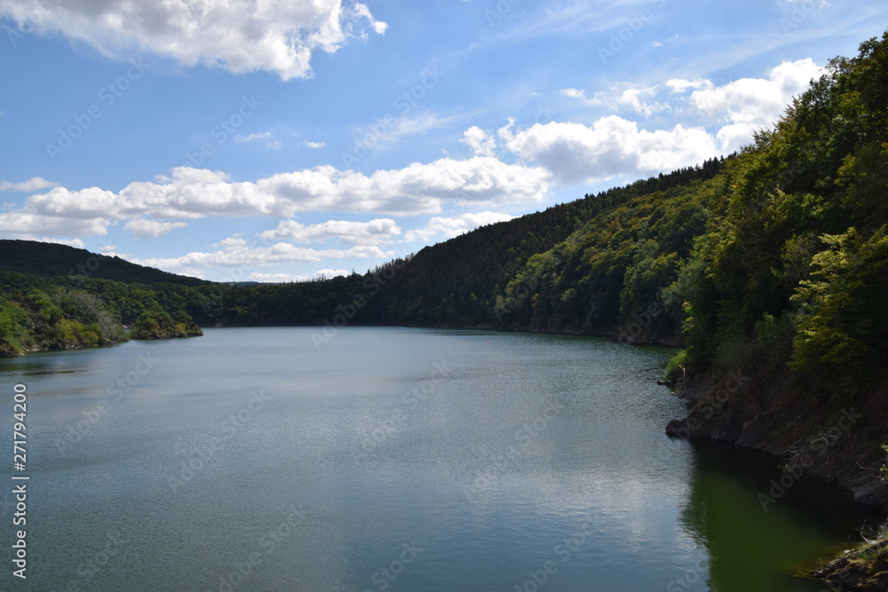 Lake forest and hills beautiful nature landscape