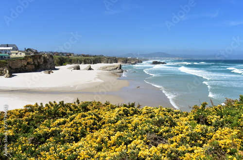 Beach with white sand, rocks and waves. View from a cliff with yellow flowers. Lugo, Spain.