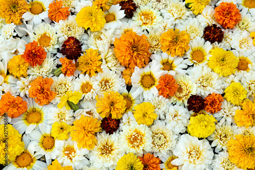 Flores variadas para ofrenda en la India. photo