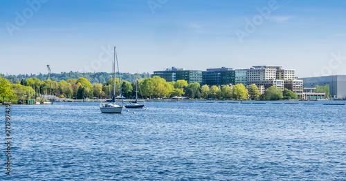 Park Shoreline And Boats 4 photo