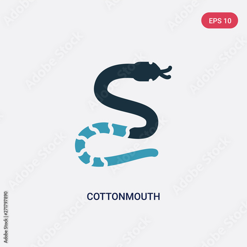 two color cottonmouth vector icon from animals concept. isolated blue cottonmouth vector sign symbol can be use for web, mobile and logo. eps 10