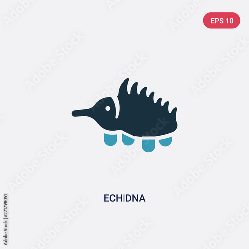 two color echidna vector icon from animals concept. isolated blue echidna vector sign symbol can be use for web, mobile and logo. eps 10 photo