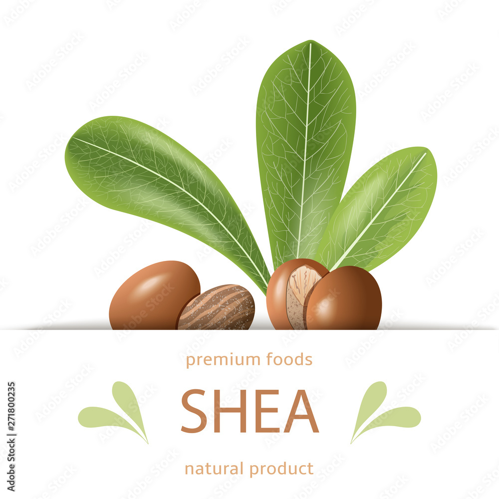 Εκτύπωση καμβά Ripe shea nuts and leaves label