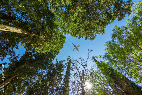 Fototapeta Naklejka Na Ścianę i Meble -  airplane above trees