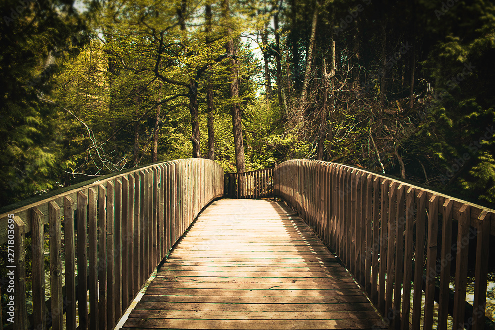 wooden bridge in the forest wooden bridge in the forest