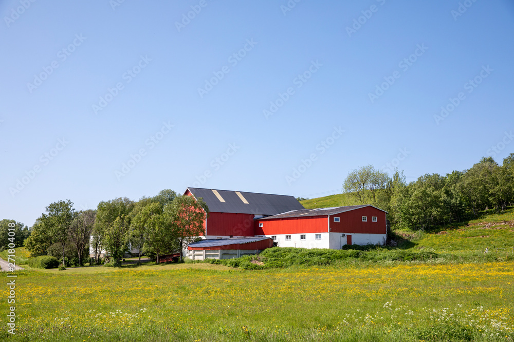 Along the road RV 17 in Helgeland