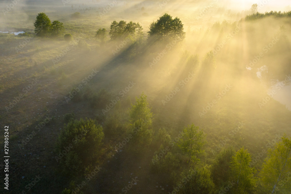 Summer nature background. Aerial landscape of nature in fog at sunrise. Misty morning on riverside in sunlight. Scenery nature in sunshine. Bright sunny meadow on riverside